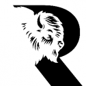 ROAM-AI 29