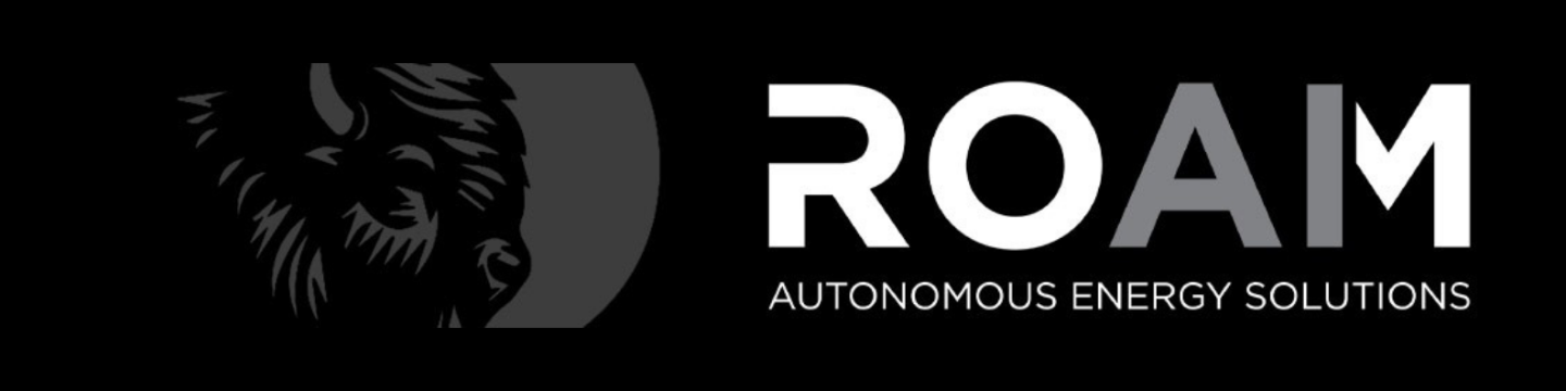 ROAM-AI 29