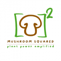 Mushroom Squared 26