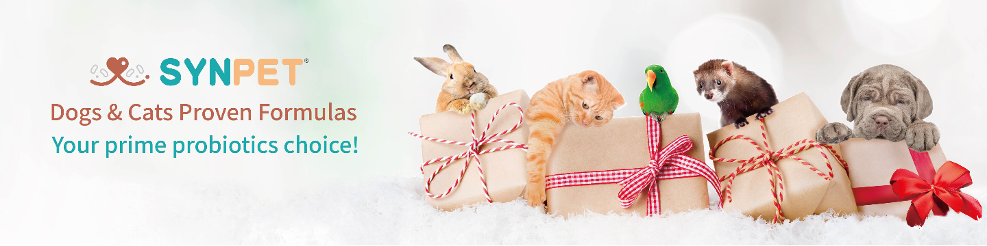 SYNBIO TECH INC. 336