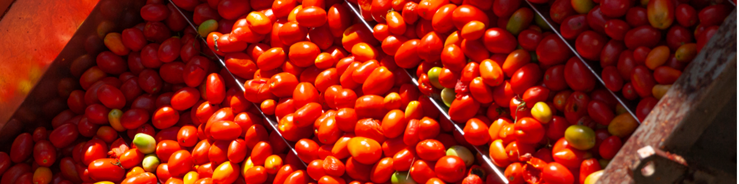 Carozzi North America 189