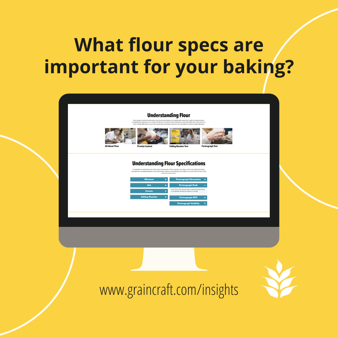 Pizza Flour and Dough Technical Resources 123