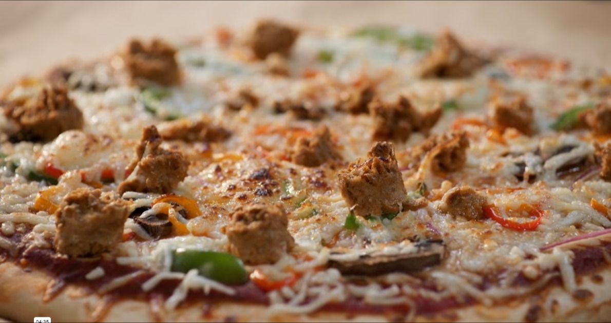 MGP's ProTerra® Texturized Proteins Used for Meat Replacement or Extension 353