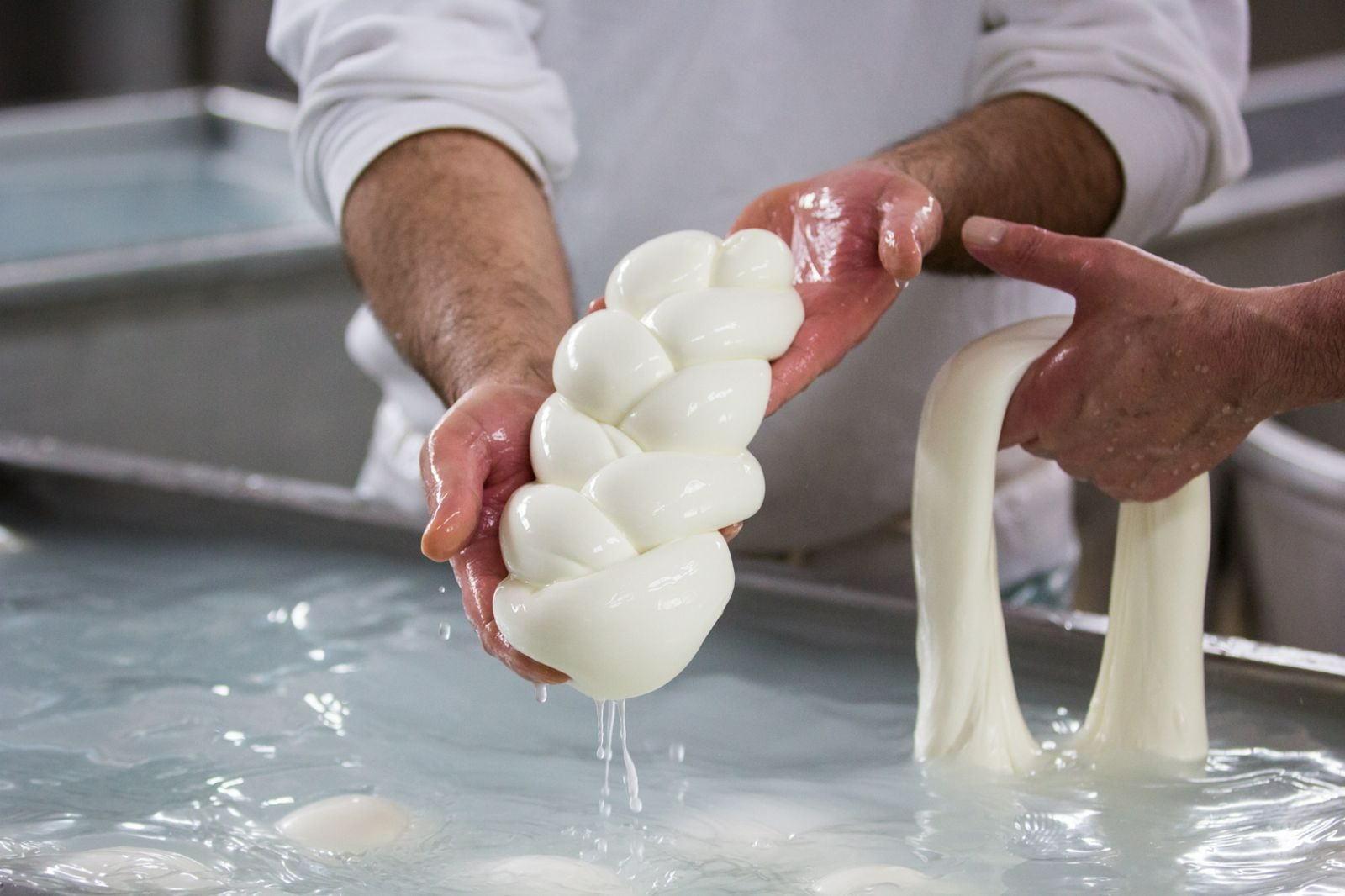 The best italian buffalo mozzarella 649