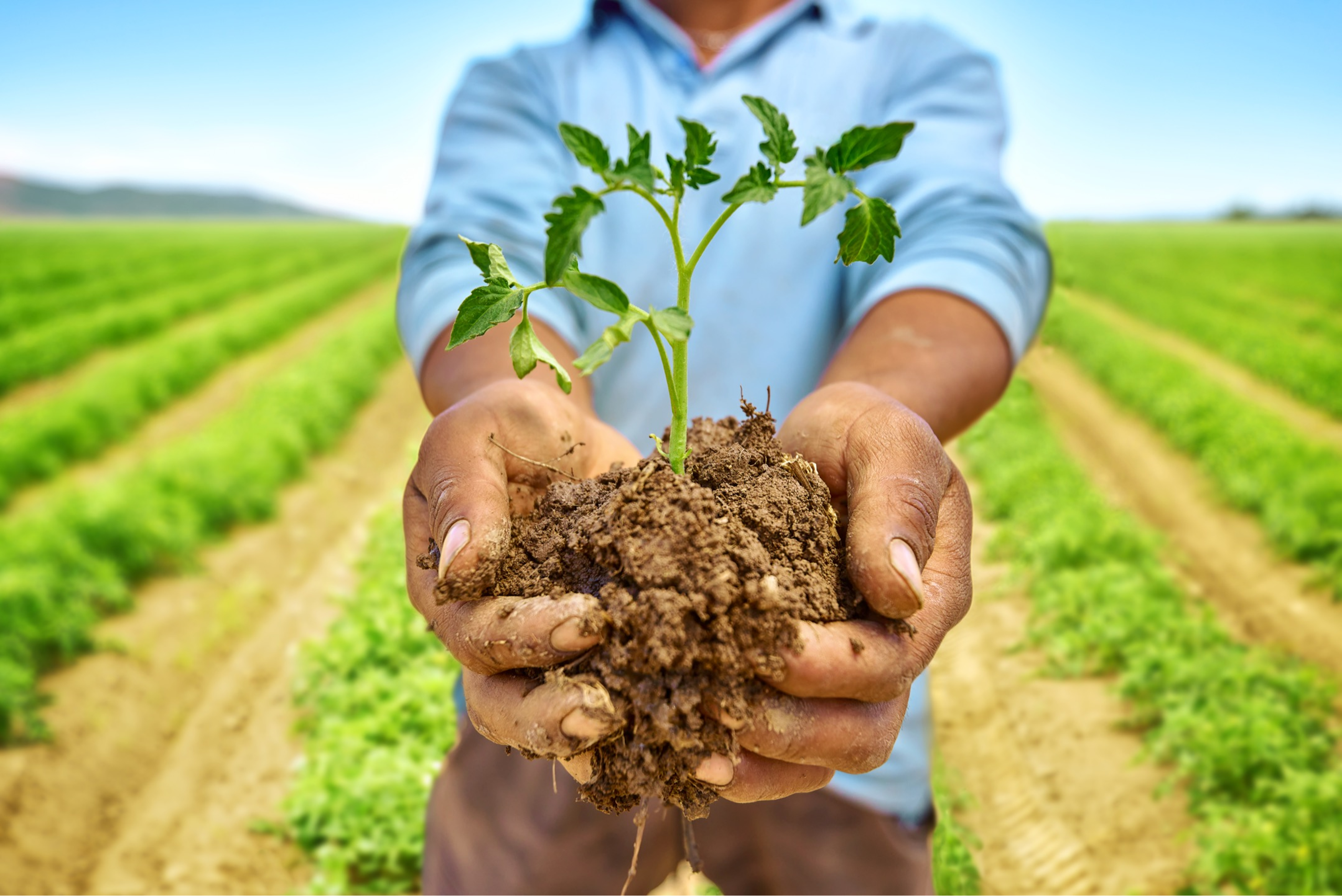 We are Agrozzi - Carozzi North America 691