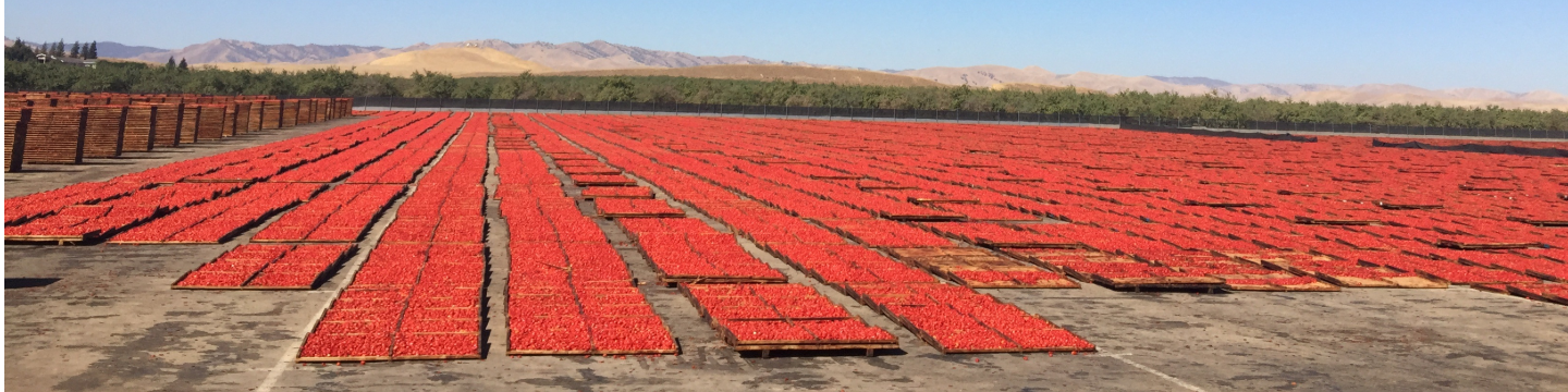 Valley Sun Products, Inc 487