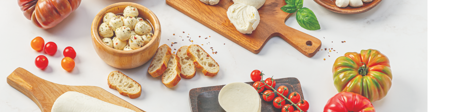 Galbani Professionale Cheese 17
