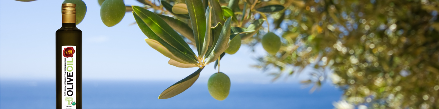 Bari Olive Oil 249