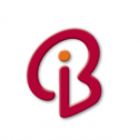 Branding Iron Holdings 73
