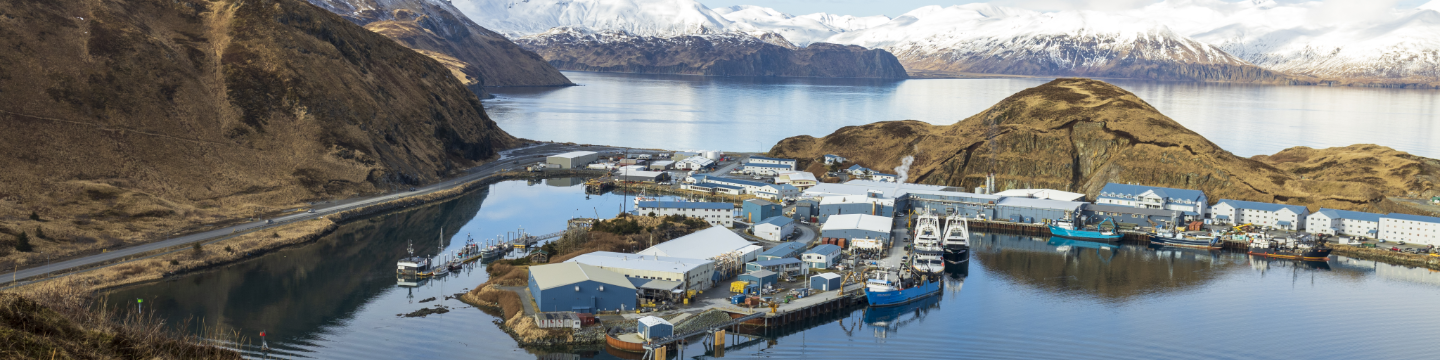 Alaska Pollock Fishery Alliance 373