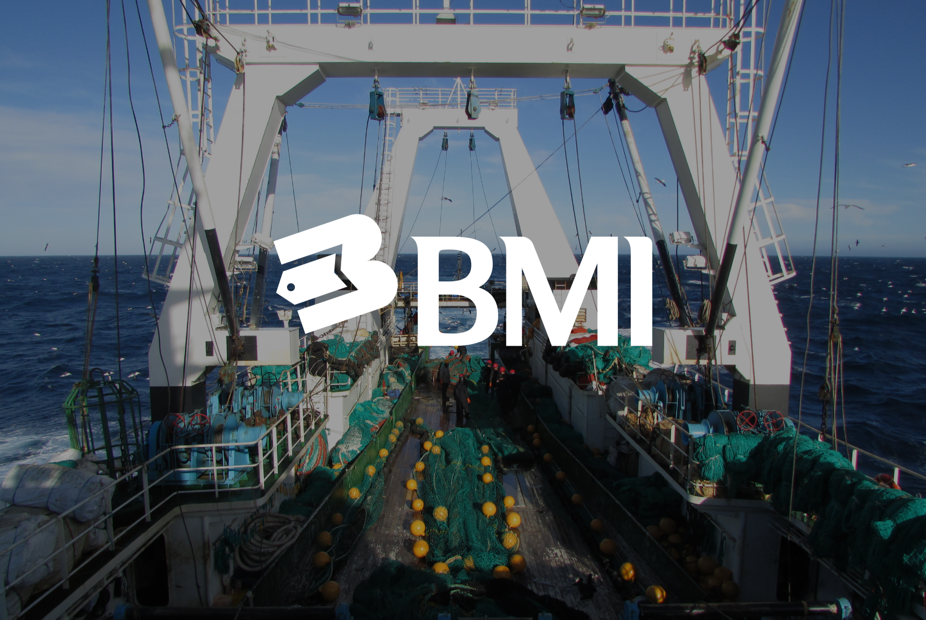 BMInternational Co., Ltd 38