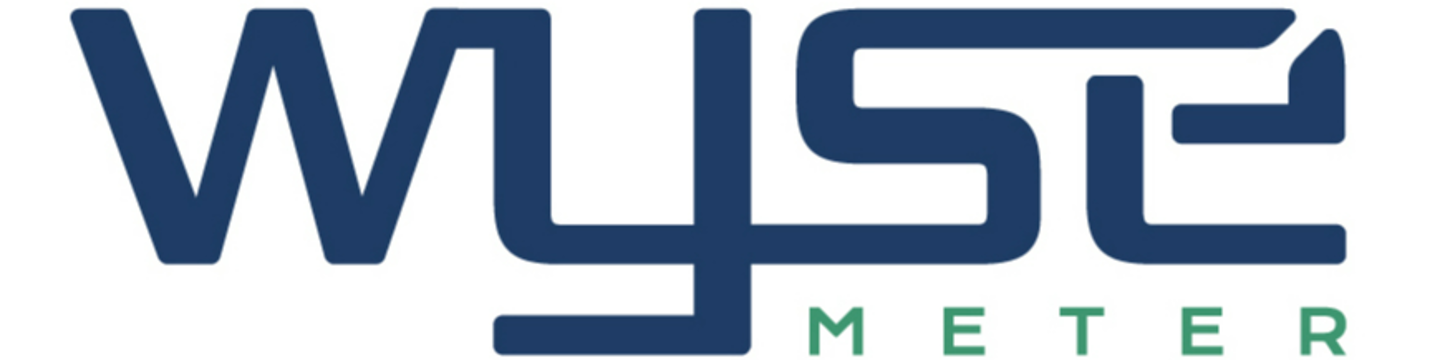 Wyse Meter Solutions Inc 39