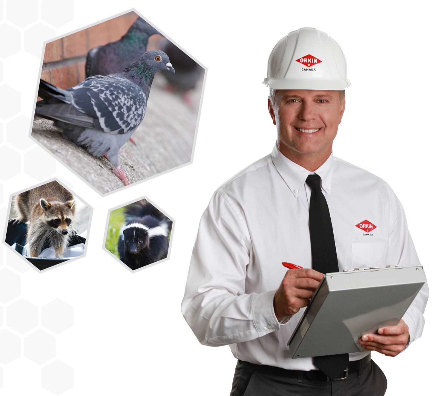 Bird & Wildlife Control 120