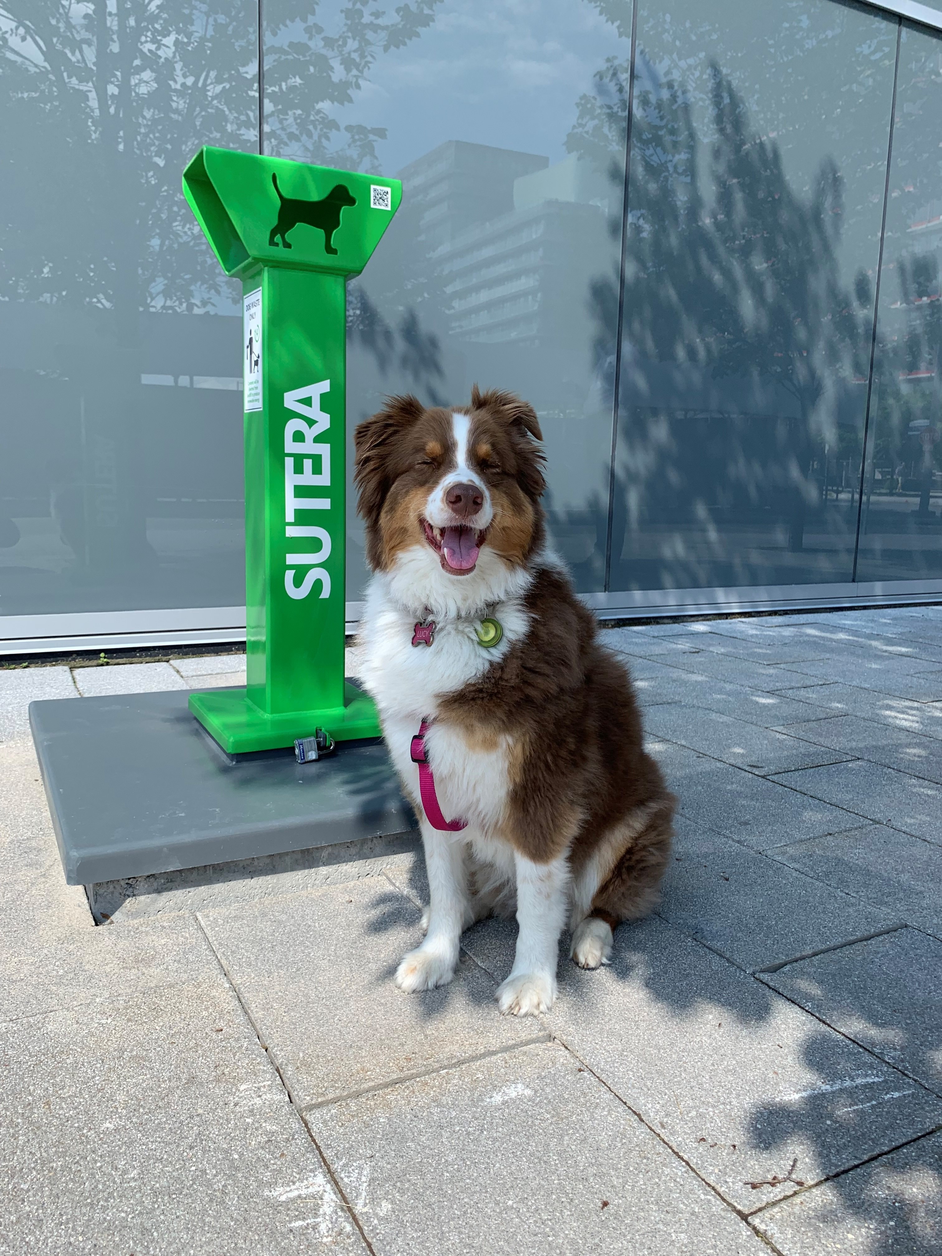 Dog Waste Containment 73