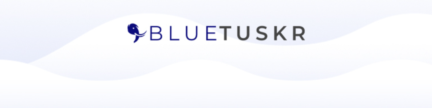 BlueTuskr - Diversify. Scale. Thrive Beyond Amazon. 149