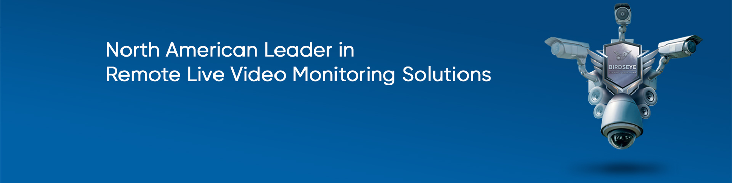 Birdseye Security Solutions 228