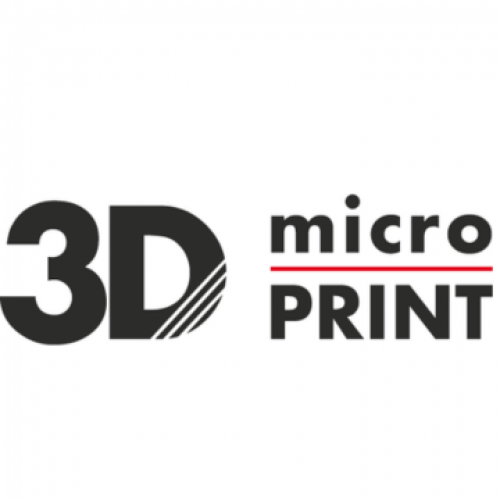 3D Microprint GmbH 110