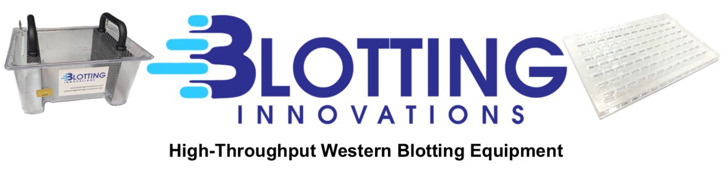Blotting Innovations 217