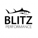Blitz Performance LLC 141