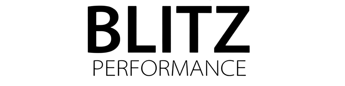 Blitz Performance LLC 141