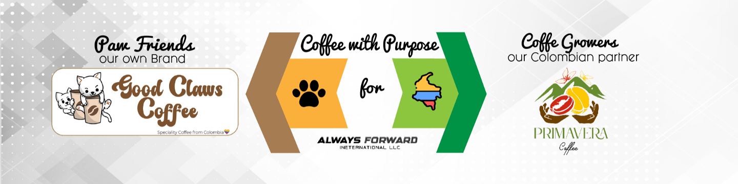 Always Forward International LLC 545