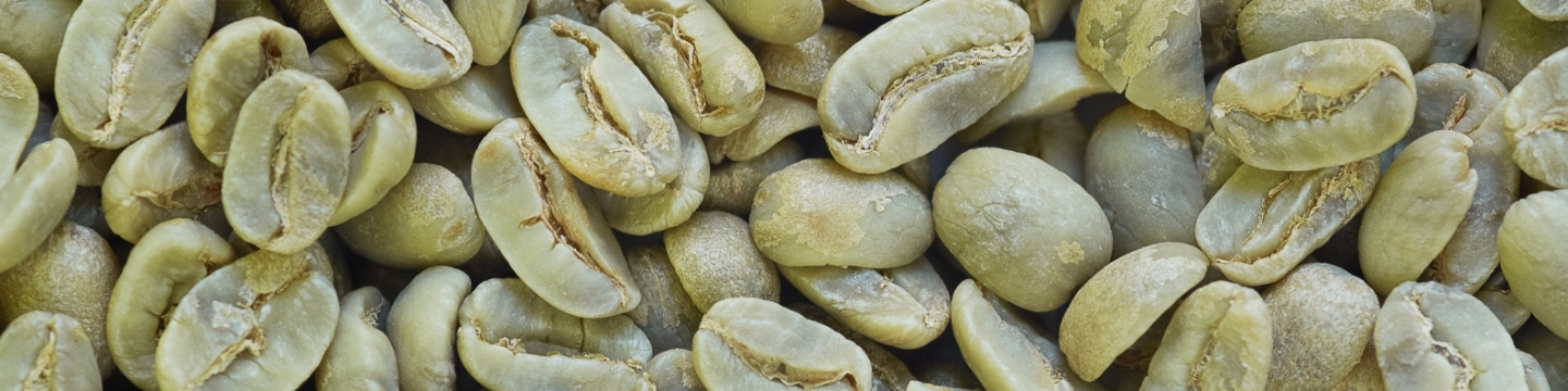 Ally Coffee 126