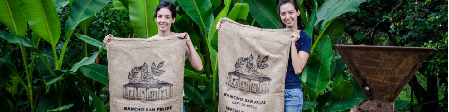 Café San Felipe 520