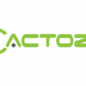 Cactoz Pte Ltd 280