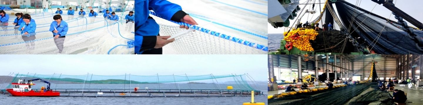 King Chou Marine Technology Co., Ltd. 100