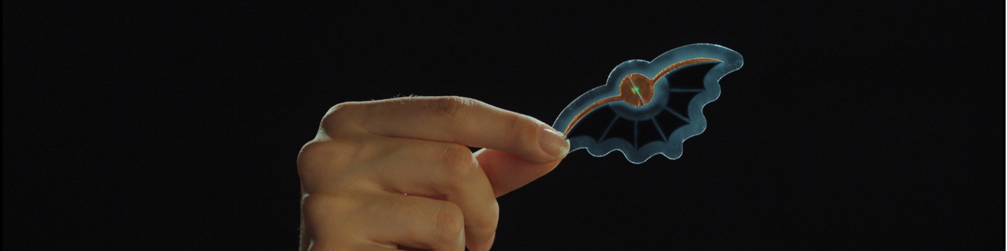 Dracula Technologies 190