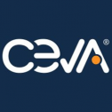 Ceva 99