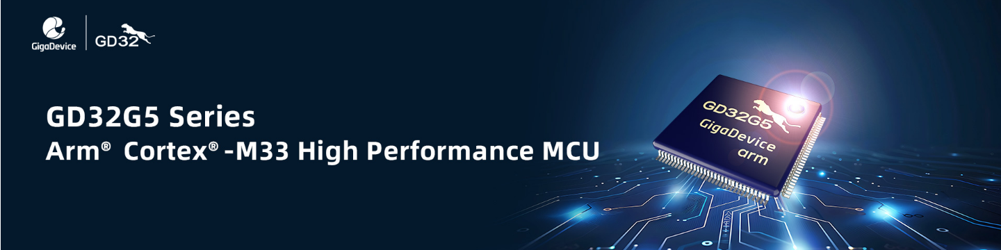 GigaDevice Semiconductor Inc 170