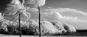 ir.jpg