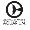 Clearwater Marine Aquarium 596