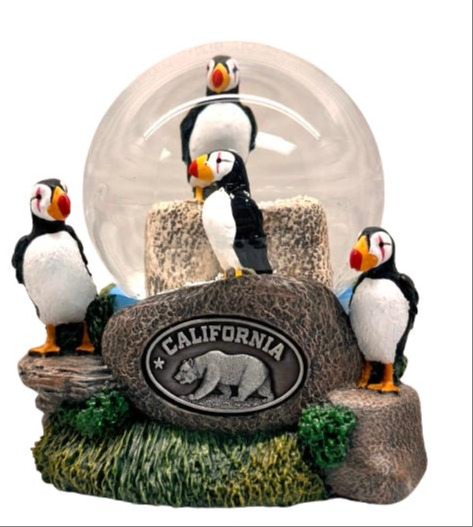 water globes with customized medallion for your locations 37