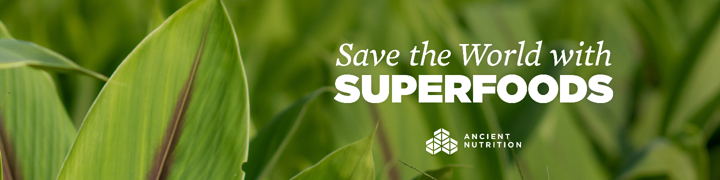 Ancient Nutrition 217