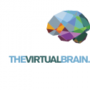 The Virtual Brain - Neuroscience 2023