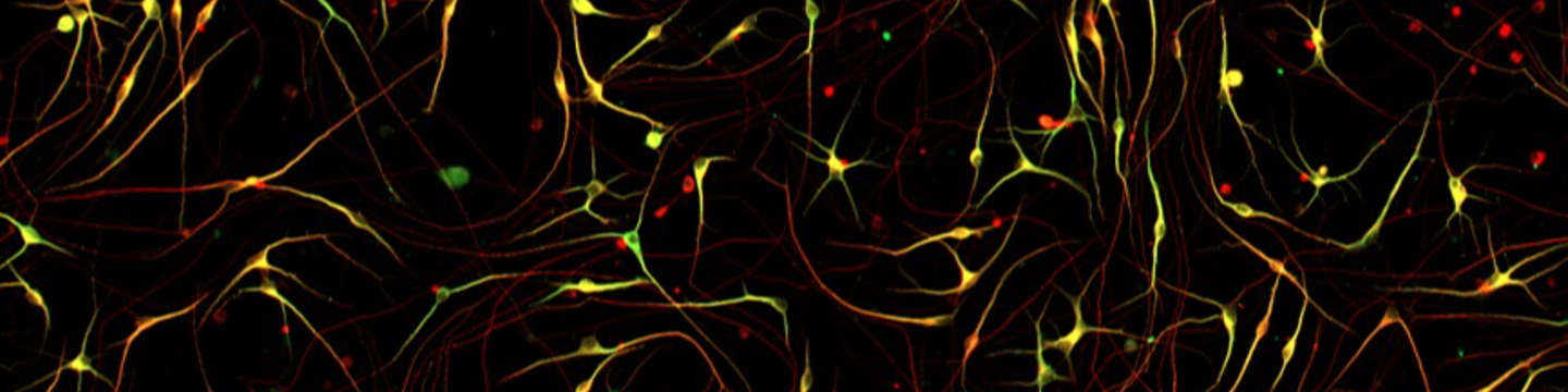 Agilent Technologies Inc. 71