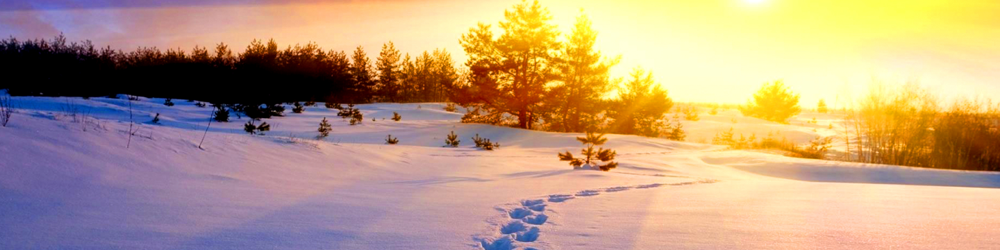 A-TOPS Electronics CO.,LTD 177