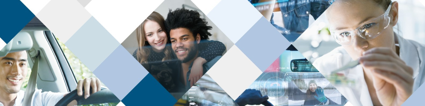 Dexerials America Corporation 38