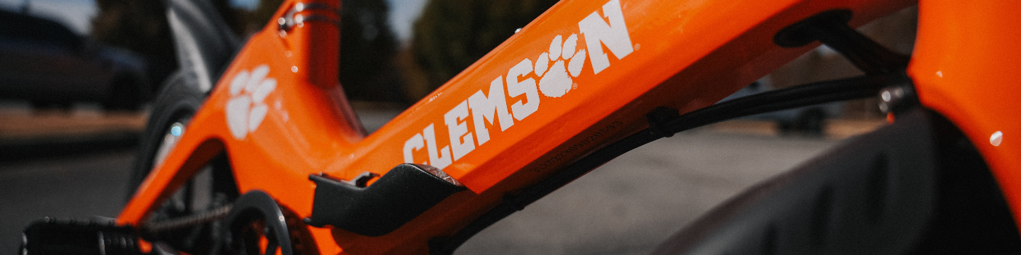 Blaupunkt eBikes 356