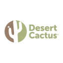 Desert Cactus 152