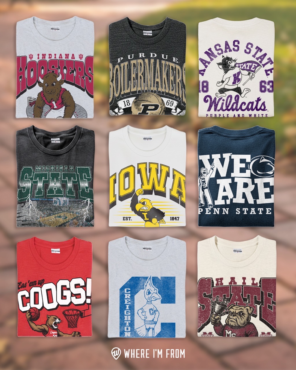 Collegiate Collections 715