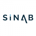 SINAB 536