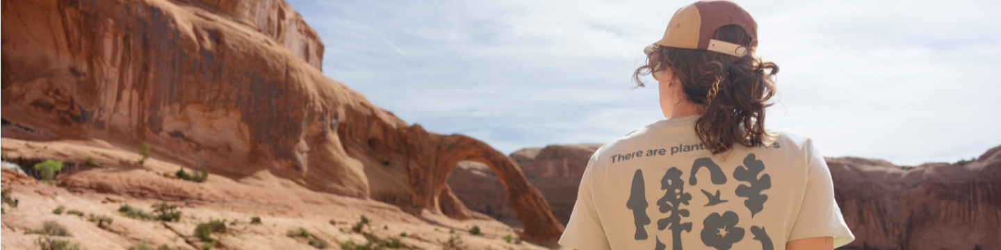 The Landmark Project 381