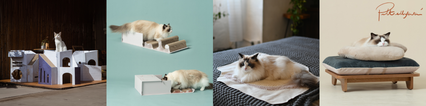 Conpet Innovation Limited 910