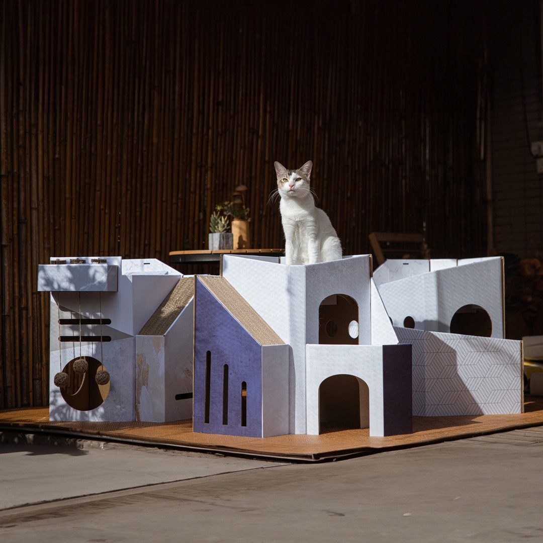 Pettellyava : Modern Design for Cats 1118