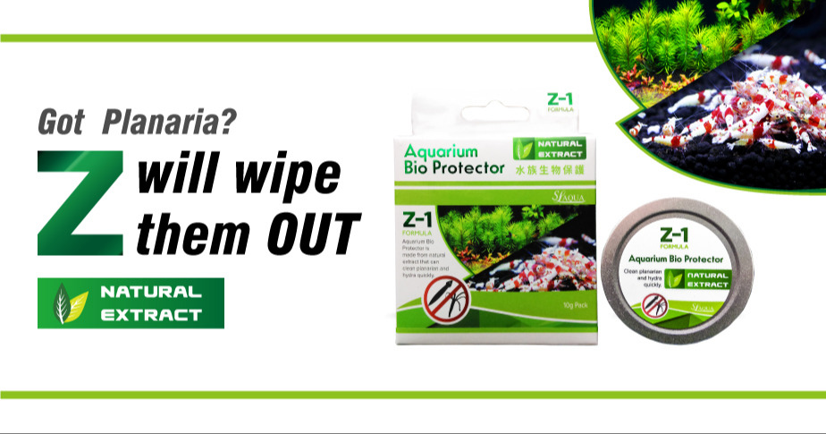 Z-1 Planaria Remover 125