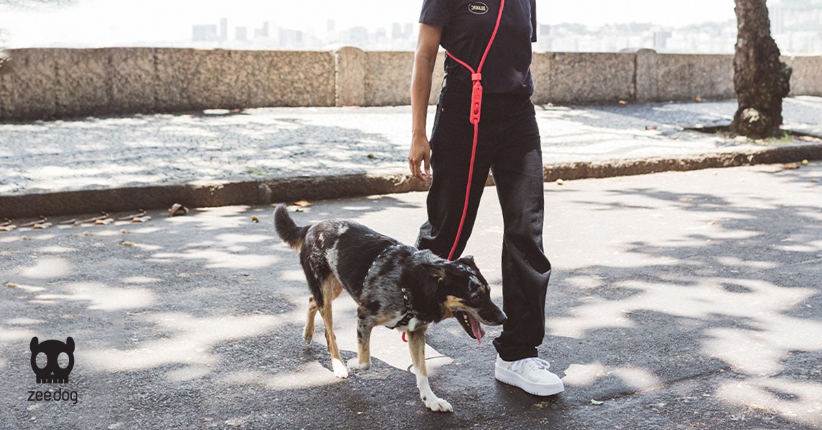 Hands-Free Leash - 4-in-1 Versatile Leash 1552