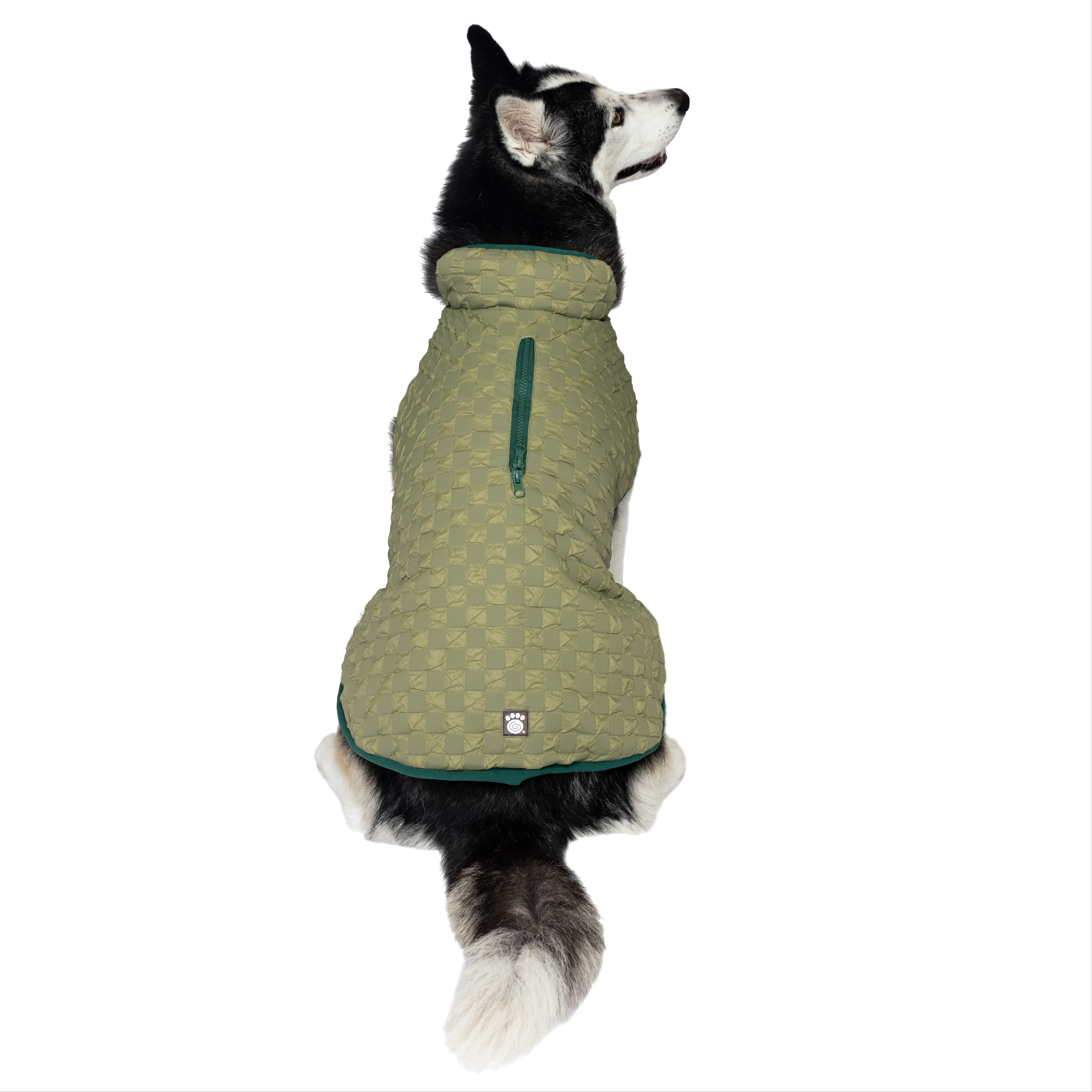 PetRageous Designs Dog Outerwear 779
